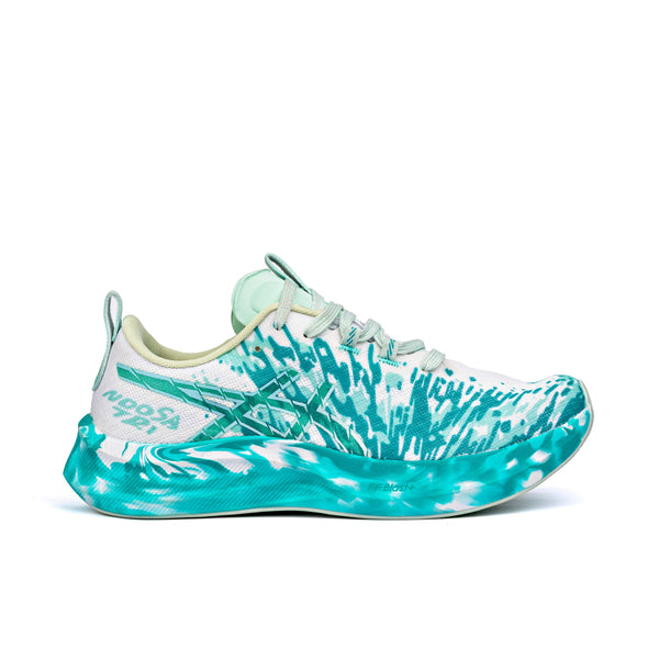 Asics NOOSA TRI 16 ( M )